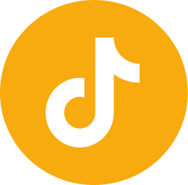 TikTok Icon